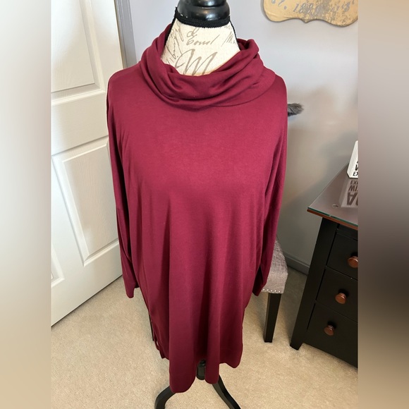 Burgundy Turtleneck Tunic by Sahalie - Picture 1 of 6